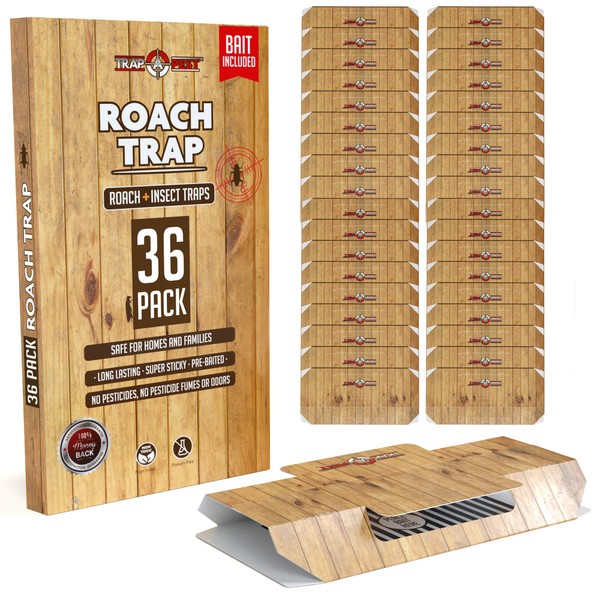 Roach Traps Indoor Sticky (36 Pack) - Glue Traps for