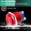 Twidec/19mm Push Button Waterproof Red Metal Shell Momentary Raised Top