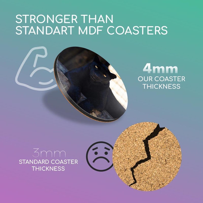 1 x Round Coaster - Black Panther Wild Big Cat