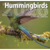 2026 Hummingbirds Full Size Wall Calendar for Planning, Scheduling, and