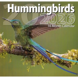 2026 Hummingbirds Full Size Wall Calendar for Planning, Scheduling, and Organizing