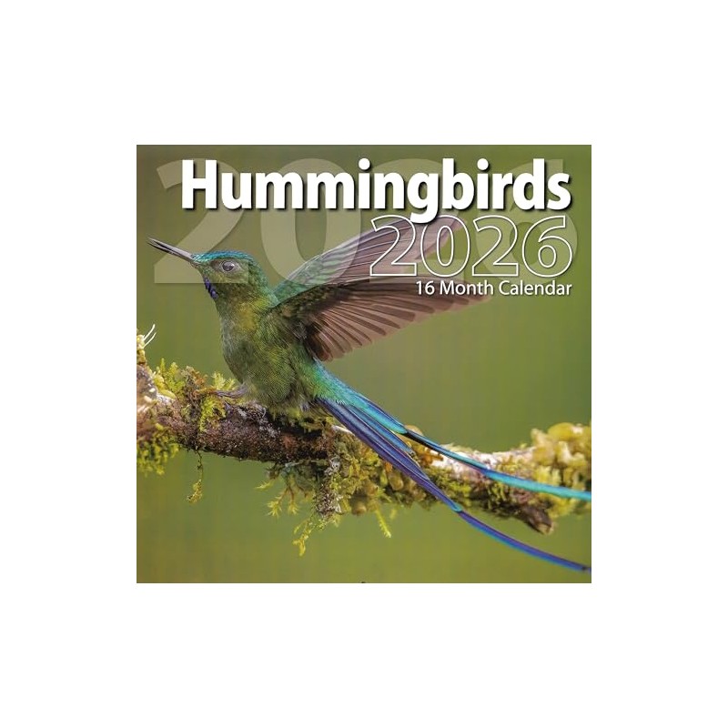 2026 Hummingbirds Full Size Wall Calendar for Planning, Scheduling, and