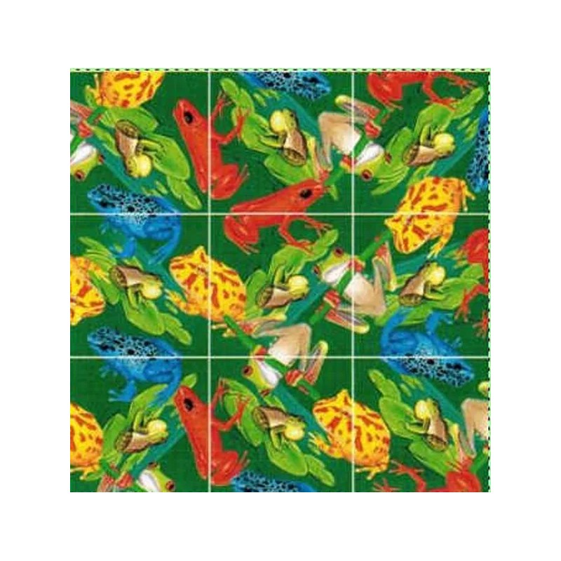 b. dazzle, Inc. Frog Scramble Squares Puzzle