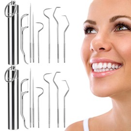 Juego de 2 Piezas (8 Piezas Por Juego) Palillos de Dientes Portátiles de Acero Inoxidable Reusable Kit de Limpieza de Dientes de Herramientas Dentales Sarro Hilo Dental
