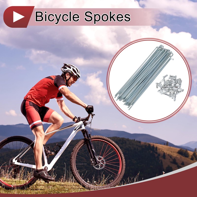 A ABSOPRO 36 Set 12G Bicycle Spokes 169mm Bike Wheel