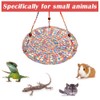 Reptile Hammock Swing Bed,Cotton Reptile Swing Hanging Bed with Hook
