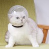 TEHAUX Bozal para Gato, Casco de Gato para Aseo Casco
