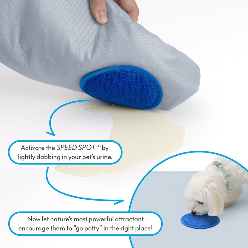 2ct Paw Inspired Speed Spot Go Here Potty Training Puppy
