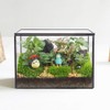 Lvpage Rectangle Geometric Glass Terrarium Planter Decor Box Handmade Flower