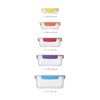 Joseph Joseph Nest Lock Plastic BPA Free Food Storage Container