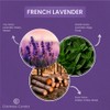 Colonial Candle French Lavender Scented Jar Candle, 2 Wick, 3.5
