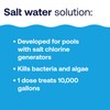 HTH 52047 Swimming Pool Care Salt Shock, Stabilized Chlorinator, 1
