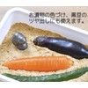 OSK TBN-1 Nambu Ironware Snoopy, Iron Supplement, Just Boil in