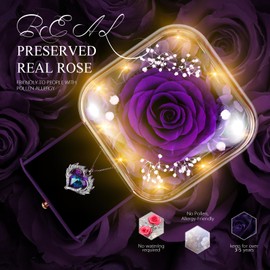 GOICC Forever Rose Birthday Gifts for Women Mum Wife Girlfriend Preserved Eternal Rose Flower Gift Box with Necklace for Her Perfect Present for Valentine's Day Mother's Day Christmas Anniversary