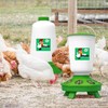 IDYFODOL Chicken Feeder & Waterer Set with Poultry Rings, Pet