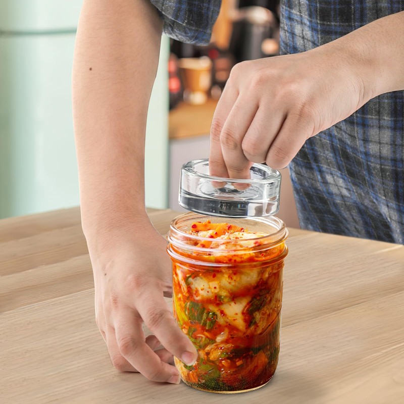 TOPZEA 9 Pack Fermentation Glass Weight with Easy Grip Handle,
