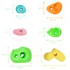 TOPNEW 32 Rock Climbing Holds Multi Size for Kids, Adult