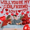 Will You Be My Girlfriend - 554 Pcs Balloons Decorations