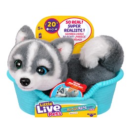 Little Live Pets My Really Real Puppy Minis- Aurora the Husky| Interactive Puppy with 20+ Sounds & Reactions- Includes Basket for Display. Fun & Adorable Gift for Kids (11cm/4.3in tall)