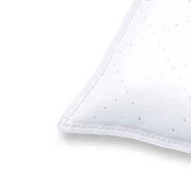 10 Staubsaugerbeutel | Staubsack (ca. 20 L) passend für Aqua Vac (Shop Vac) - 616-01 Trionic von dustwave® Microvlies-Markenstaubbeutel – Made in Germany