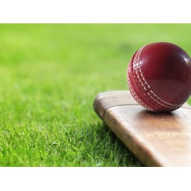 Cricket rubber soft balls for practice (set of 3)