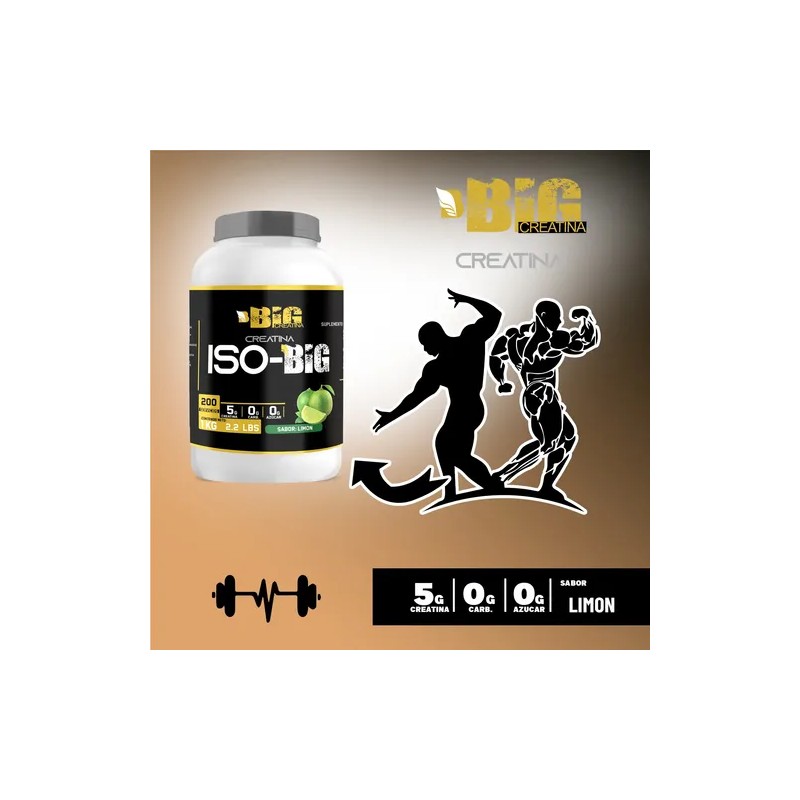 Creatina Monohidratada Big Protein 1kg 200servis Suplemento