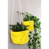 Caldo Two Plant Hangers - Perfect for Indoor or Outdoor