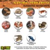 Exo Terra Glass Terrarium Kit, for Reptiles and Amphibians, Nano,