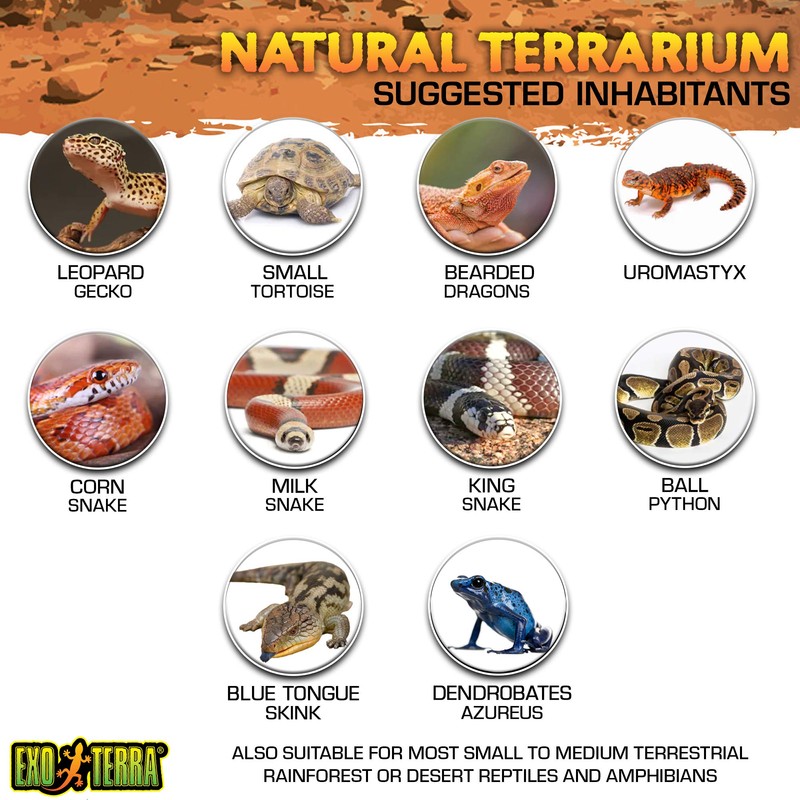 Exo Terra Glass Terrarium Kit, for Reptiles and Amphibians, Nano,