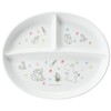 Skater XP17AG-A Dishwasher Safe Lunch Plate, Silver Ion, Ag+ Antibacterial,