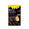 Garnier Olia Permanent Hair Dye, Ammonia-Free Vegan Formula, Softens and