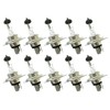 CARALL Halogen Bulbs 24 V for Trucks (H4 24 V