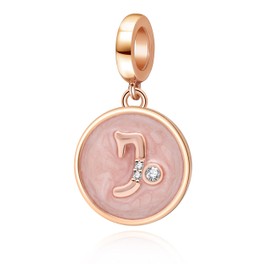 PAIYUAN Rose Gold Zodiac Sign Charms 925 Sterling Silver Constellation Dangle Charm for European Bracelet (Capricorn)