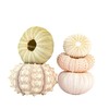 5 Pack Mini Sea Urchin Shell Hanging Pot- Decorative Hanging