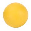 Dog Bouncing Ball Solid High Elasticity Toxic Free Floating Rubber