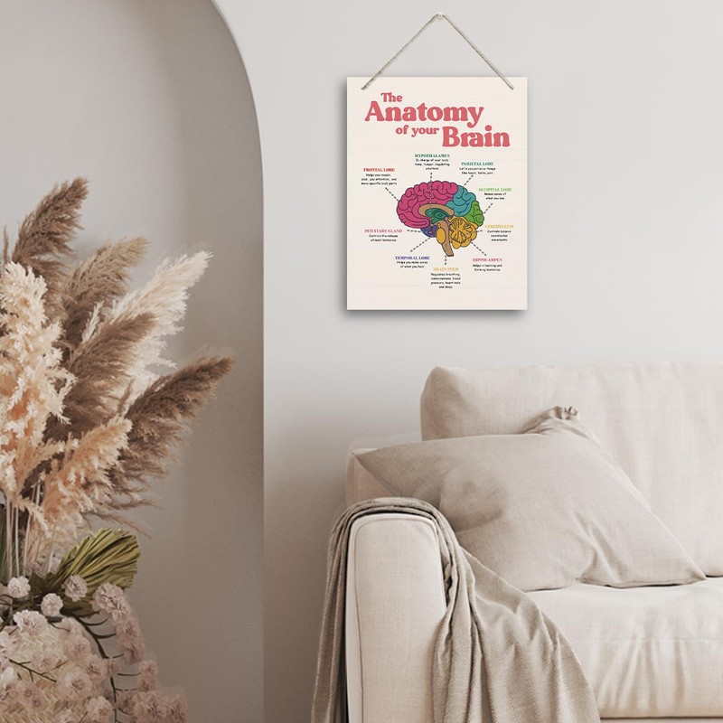 Brain Anatomy Wood Sign, 10*7.9 inches, Modern Art Decor, Hanging