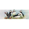 Old Tupton Ware Wall Hanging Art Tile (10 x 30 cm) - Puffins