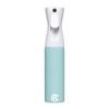 Airafa Fine Mist Sprayer for Plant Cleaning - White Pastel Mint Head 300ml