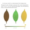 3PC Color Changing Leaf Bookmarks,Cool Bookmarks,Book Marks for Reading
