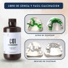 Impresora 3d Resina Dental Calcinable Resione C01 1 Kilo