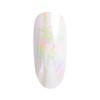 NEONAIL Transfer Foil Nail Art 10 Seashell