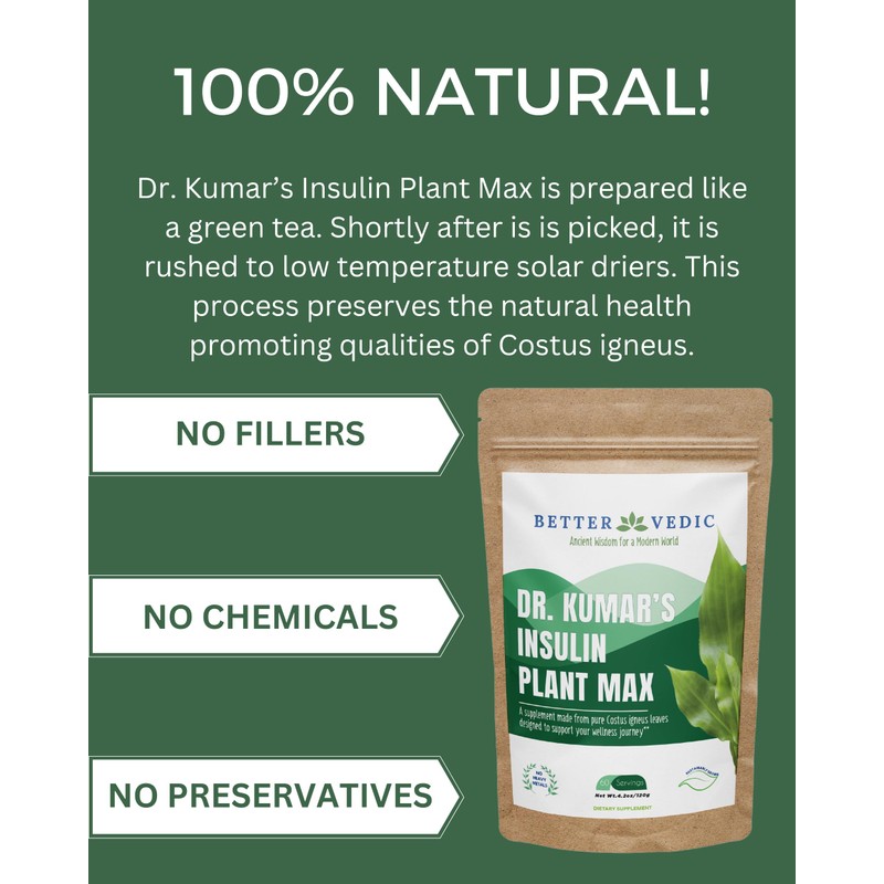 Better Vedic Pure Costus Leaf Powder 4.2oz 60 Servings