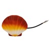 Wall Sconce Modern Minimalist 5W Color Shell IP65 Waterproof Aluminum