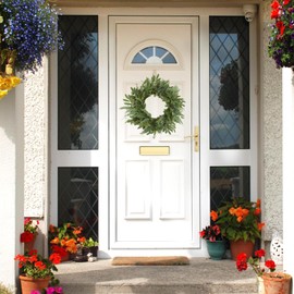 WreathDream 22 inch Olive Wreaths for Front Door Greenery Wreath with Olive Leaves, Bean for All Season Front Door Indoor Outdoor Farmhouse Home Wall Window Festival Wedding Decor