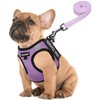 FAYOGOO Service Dog Vest for Small Breed - Lightweight Dog