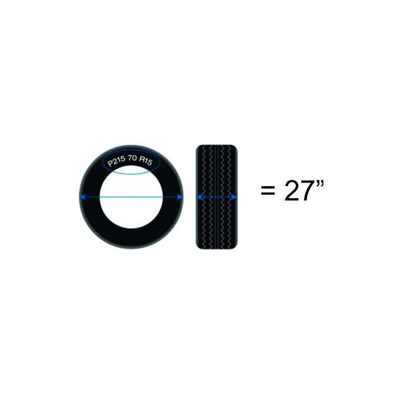 2018 Wrangler JL Back Up Camera Jumping Dolphins Tire Cover