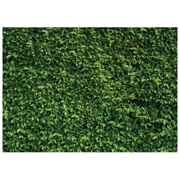WOLADA Grass Wall Backdrop Green Leaf Banner 15x10FT 10923