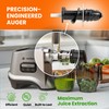 Eurolox Slow Masticating Juicer – Cold Press Machine for High-Yield