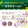 Oishi Saryo Hojicha Tea Bags, 0.1 oz (2.5 g) x
