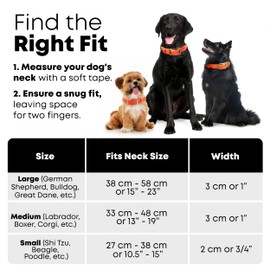 Regal Dog Products Small Orange Waterproof Hunting Dog Collar with Heavy Duty Black Hardware Buckle & D Ring | Custom Fit Vinyl-Coated Webbing Water Resistant Collar for Small, Medium & Large Dogs